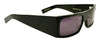 BLACK FLYS FLY DETECTOR SUNGLASSES SHINY BLACK SMOKE LENS