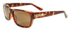 BLACK FLYS McFLY SUNGLASSES TORTOISE POLARIZED BROWN LENS
