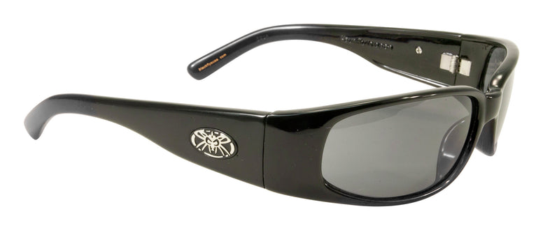 BLACK FLYS MICRO FLY 2 SUNGLASSES SHINY BLACK